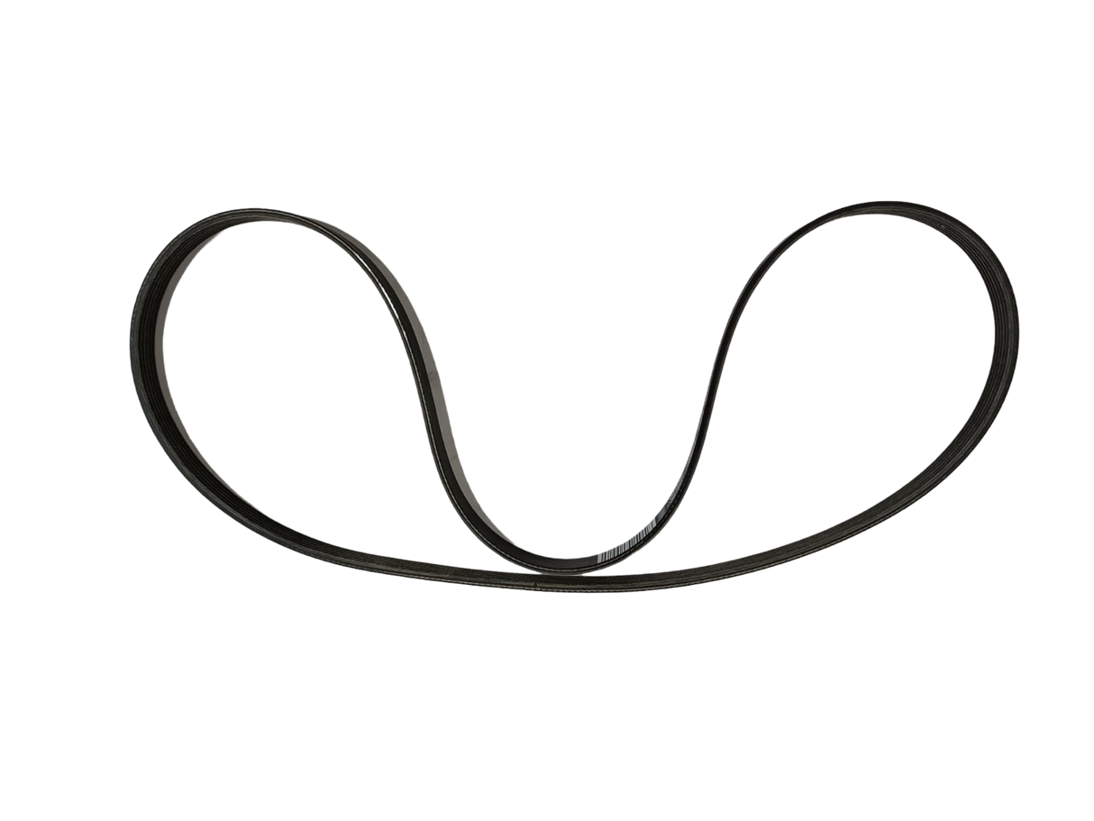 Maserati CINGHIA TIPO "DAYCO PV-K" A OEM 239616