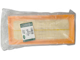 Land Rover Filtro Aria Motore OEM ESR4103