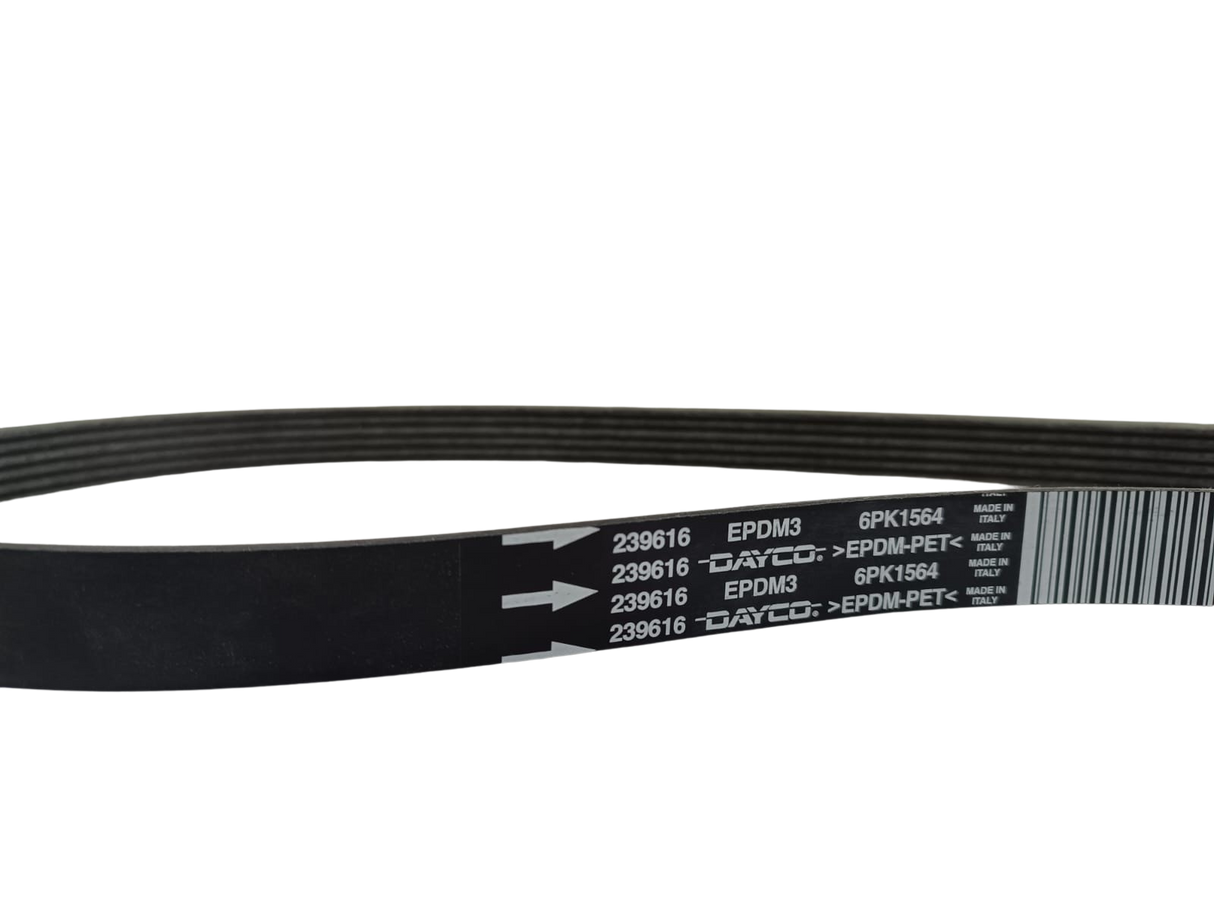Maserati CINGHIA TIPO "DAYCO PV-K" A OEM 239616